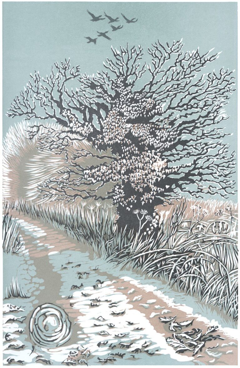 Frosted Oak by Niki Bowers