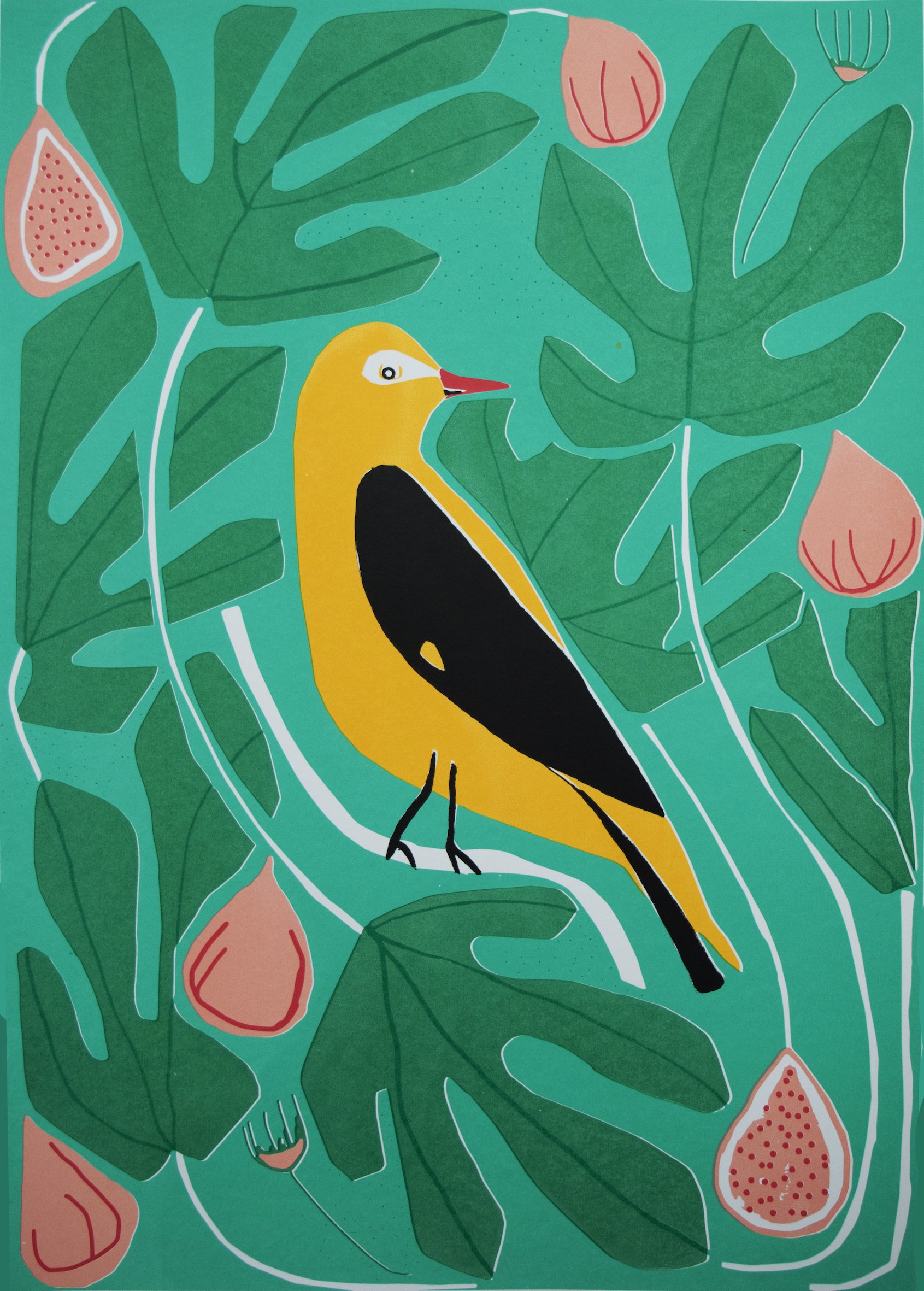Golden Oriole ed12 by Flora Forshall