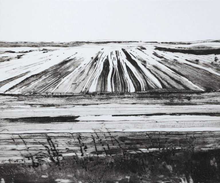 Great North Fen by Iona Howard