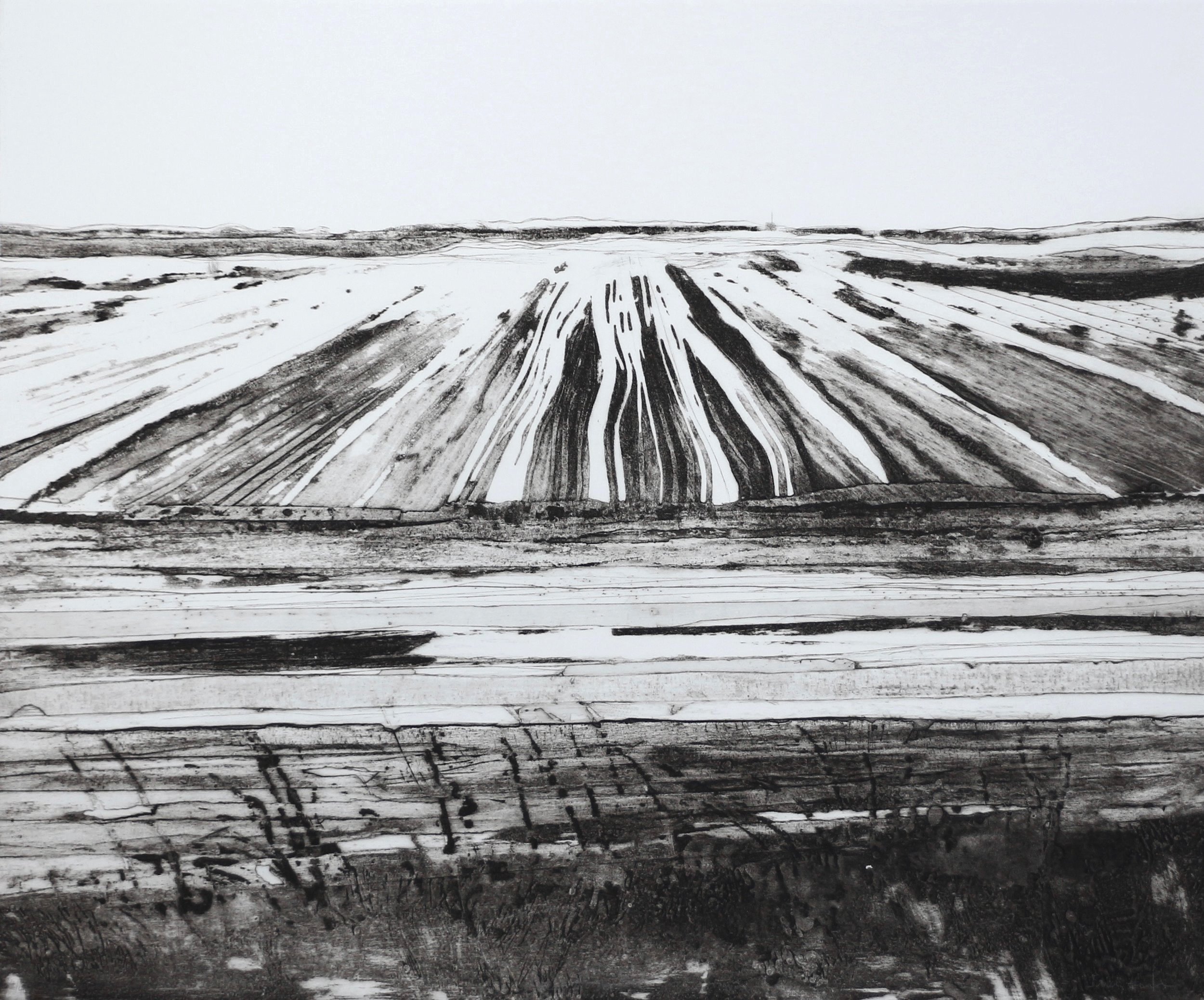 Great North Fen by Iona Howard