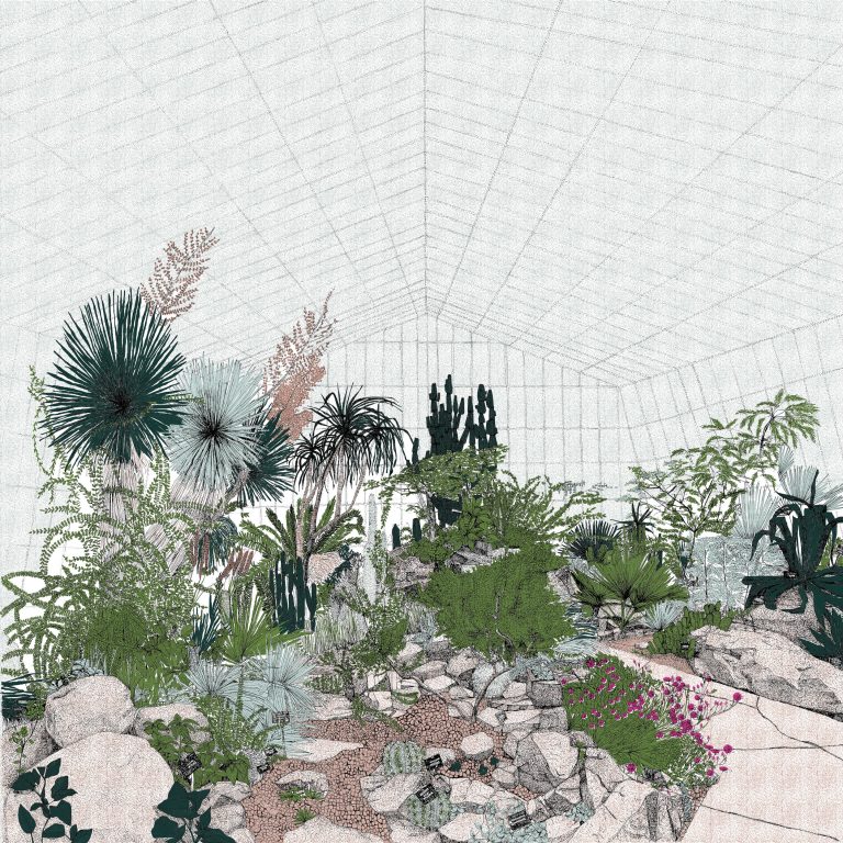 Hot Mass of Cacti by Clare Halifax