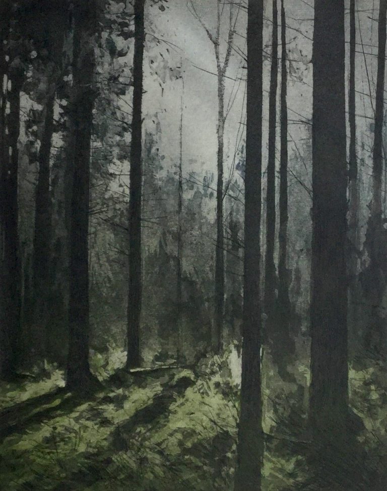 Shadows ed7 by Gregory Moore