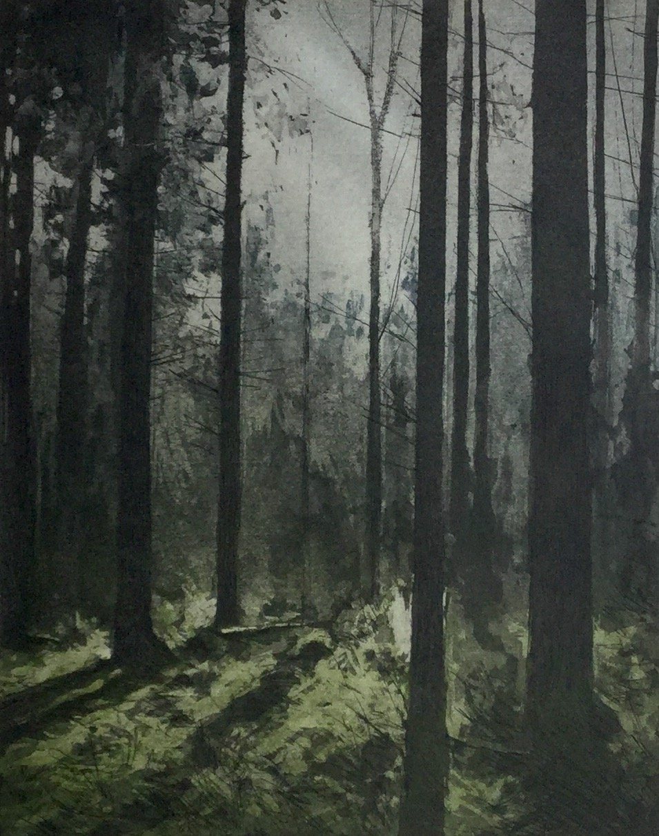 Shadows ed7 by Gregory Moore