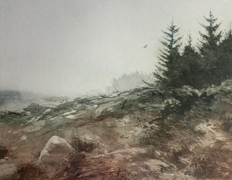 A Soft Day ed8 by Gregory Moore