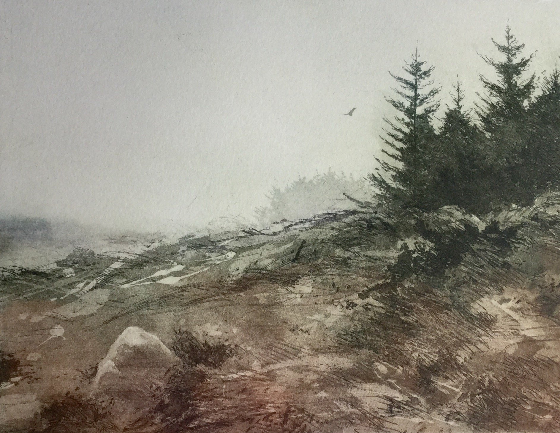 A Soft Day ed8 by Gregory Moore