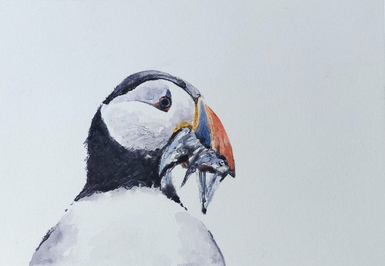 Catch of the Day by Gregory Moore