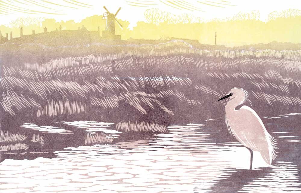 Little Egret, Cley by Niki Bowers