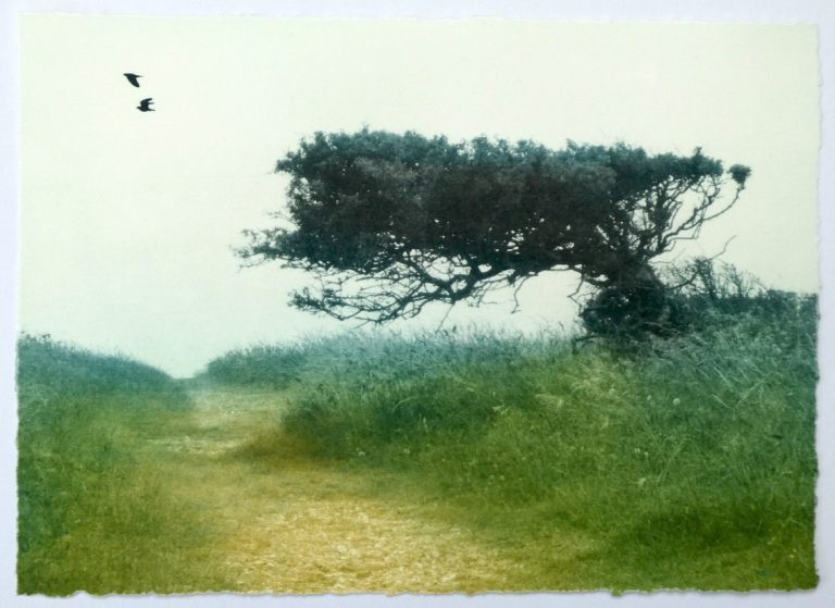 Beach Path ed15 by Luella Martin