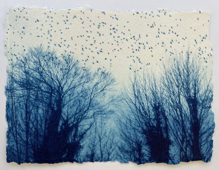 By The Woods ed84 by Luella Martin