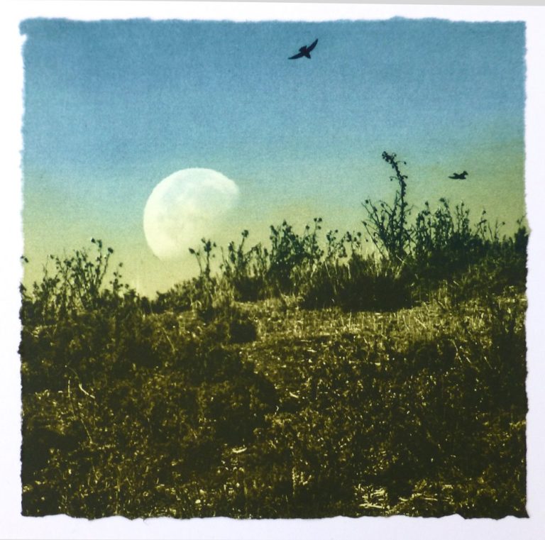 Day Moon ed17 by Luella Martin