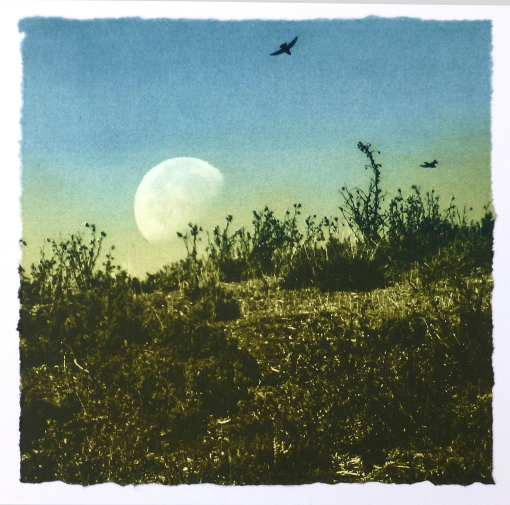 Day Moon ed17 by Luella Martin