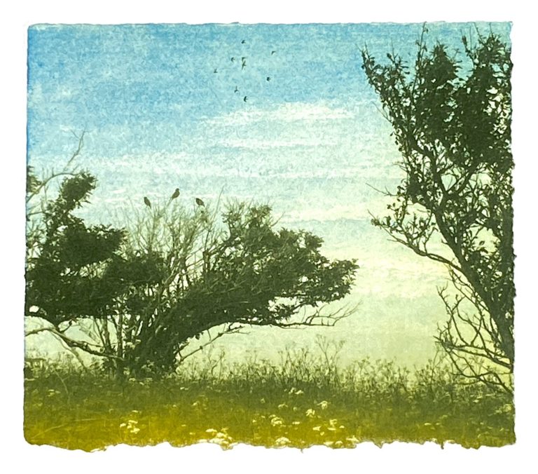 June on The Downs ed2 by Luella Martin