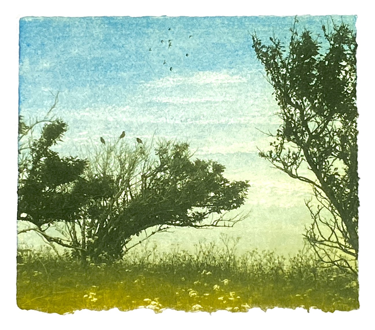 June on The Downs ed2 by Luella Martin