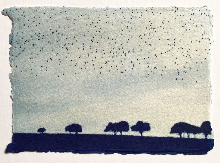 Murmuration ed13 by Luella Martin