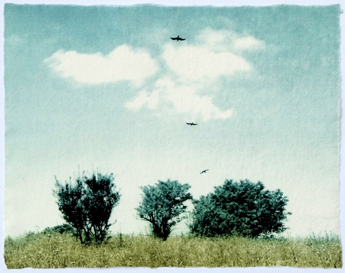 On the Hill ed18 by Luella Martin