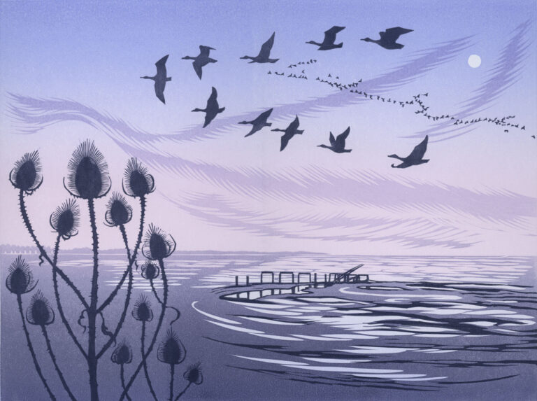 First Light by Niki Bowers