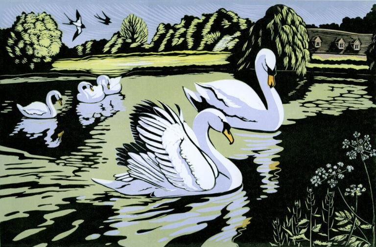 From Millpond to Water Meadows ed4 by Niki Bowers