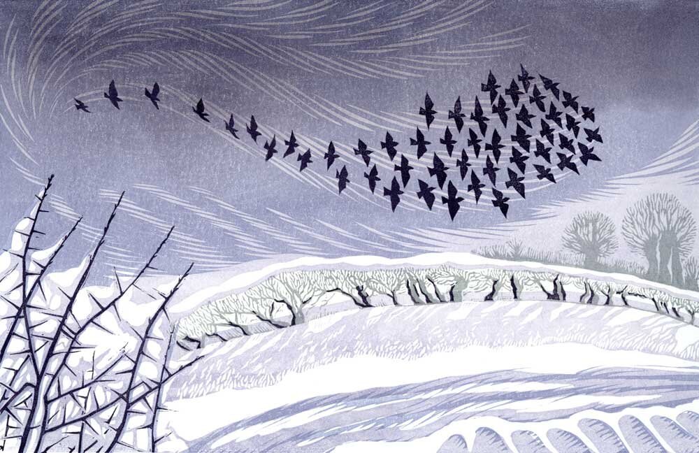 Short Days, Long Shadows by Niki Bowers