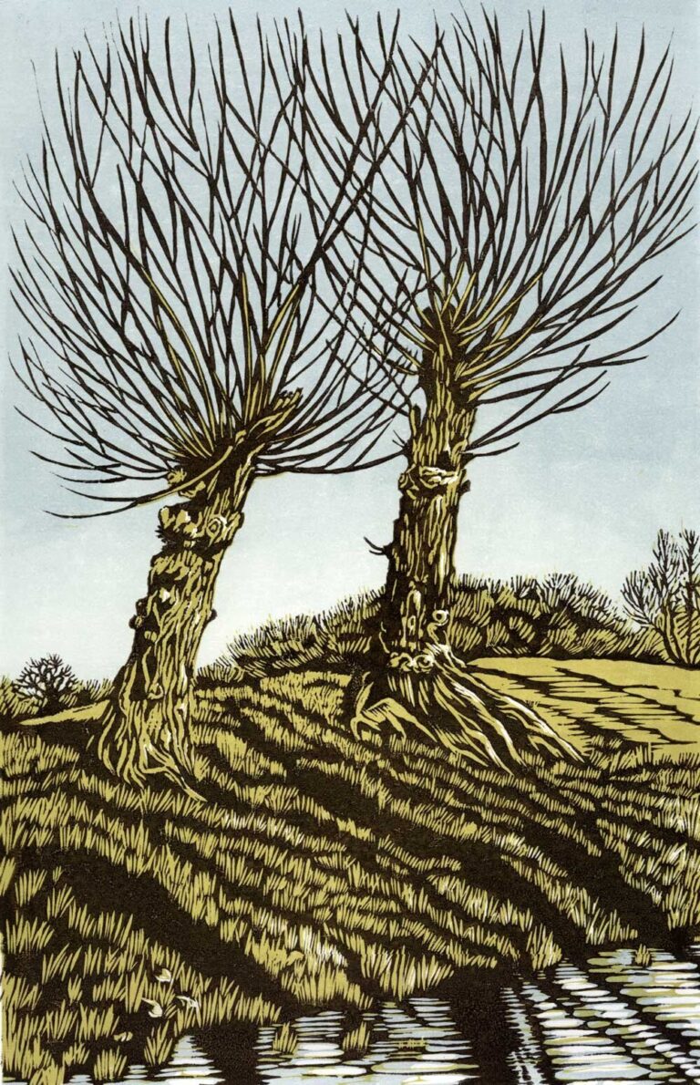 Two Willows by Niki Bowers