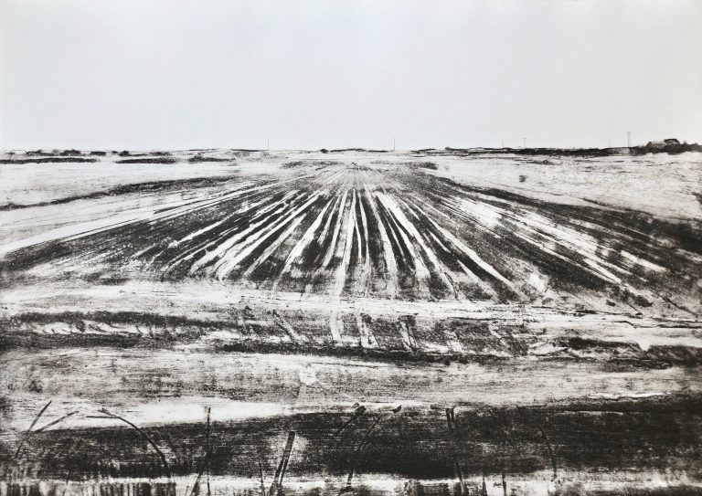 November Fen by Iona Howard