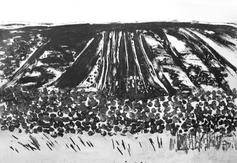 Oxholme by Iona Howard