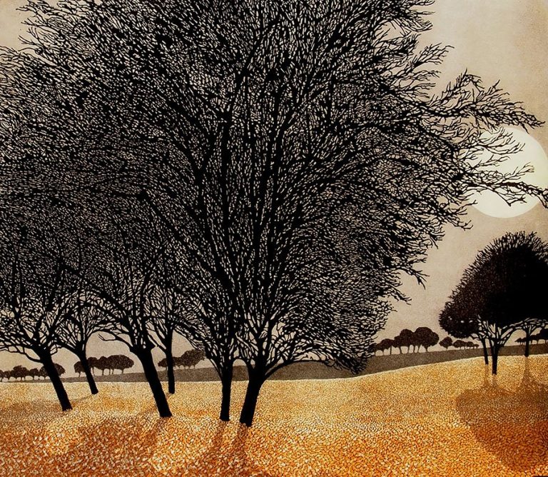 Primrose Morn by Phil Greenwood