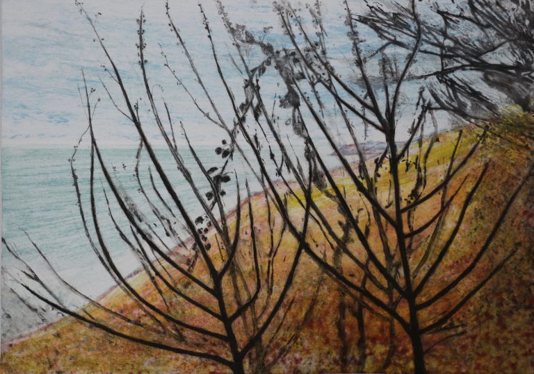 Parn Voose AP by Iona Howard