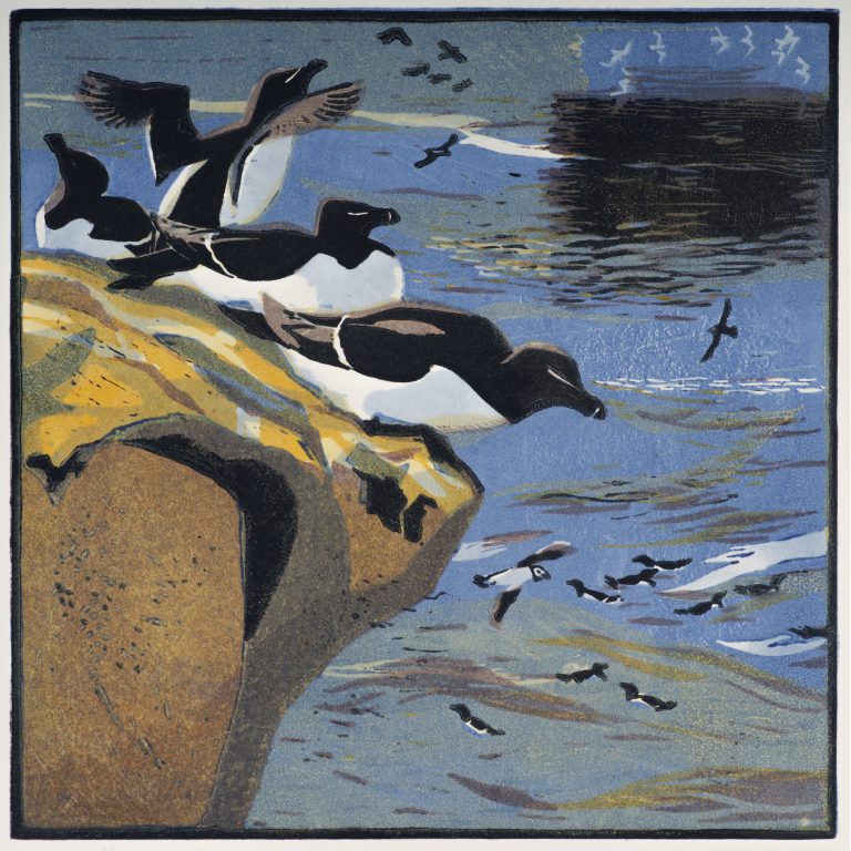 Razorbills ed4 by Robert Greenhalf