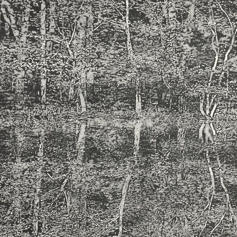 Reflections 1 ed4 by Trevor Price