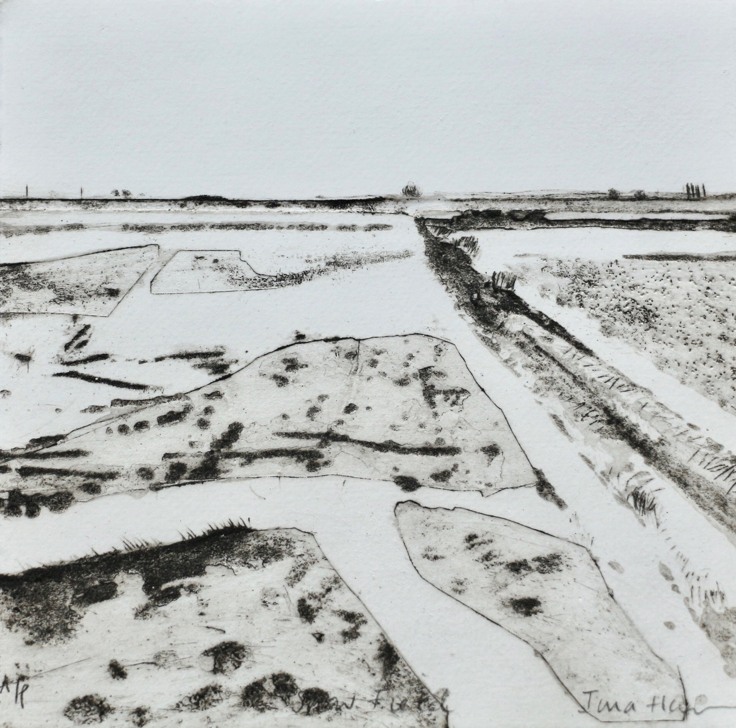 Snow Field by Iona Howard