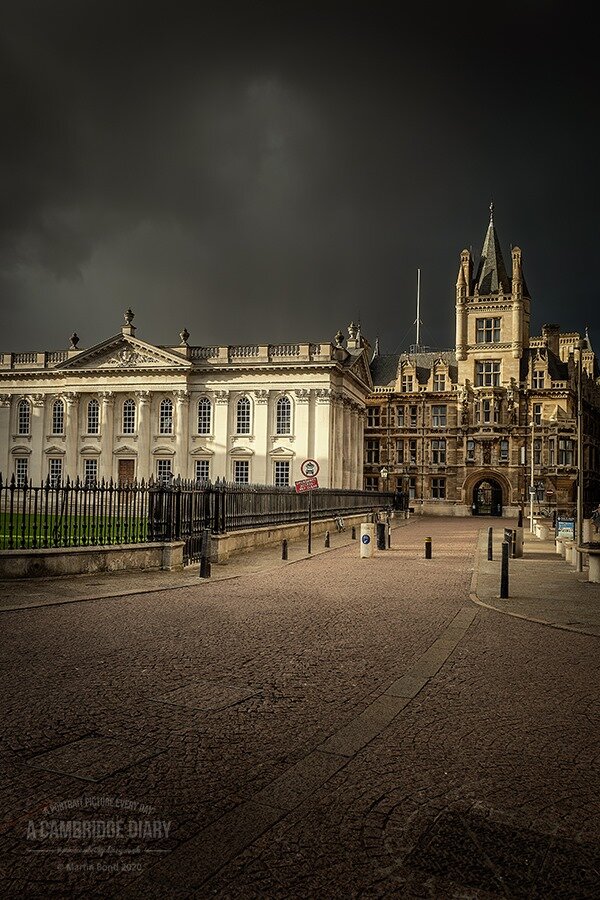 Dark Senate by Martin Bond