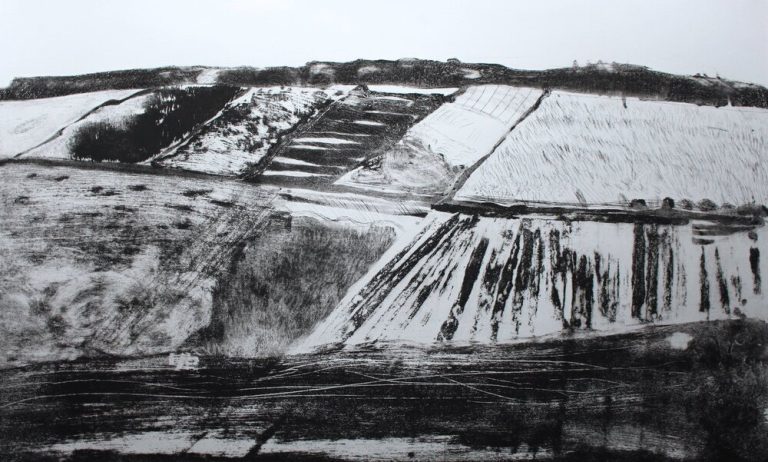 The View from Tower Hide ed17  by Iona Howard