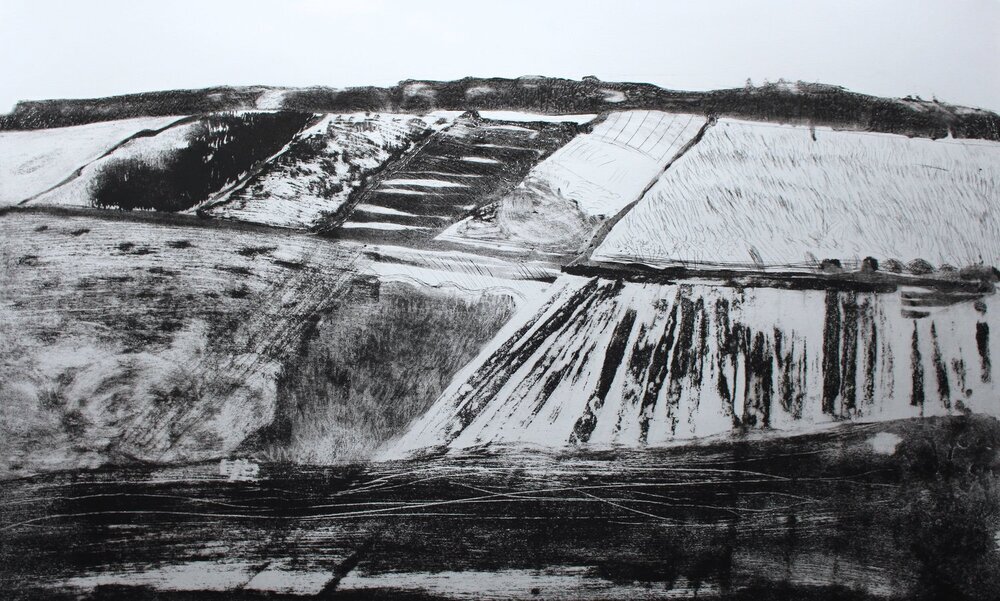 The View from Tower Hide ed17  by Iona Howard