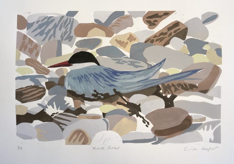 Tirrick, Fetlar by Lisa Hooper