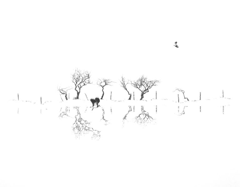 Vernal Pool ed35 by Alan Stones