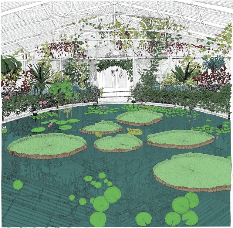 Waterlily House and Home ed36 by Clare Halifax