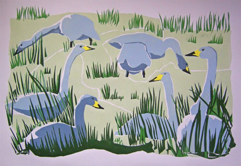 Whooper Swans by Lisa Hooper