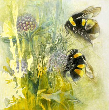 Bumblebees on Eryngiums by Louise Bird