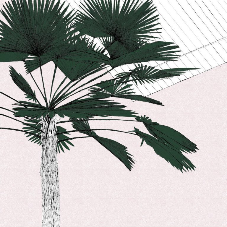 A Green Palms Blush ed52 by Clare Halifax