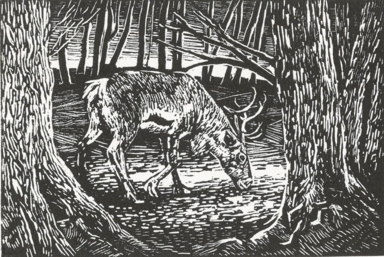 I Am A Girl ed29 by Max Angus