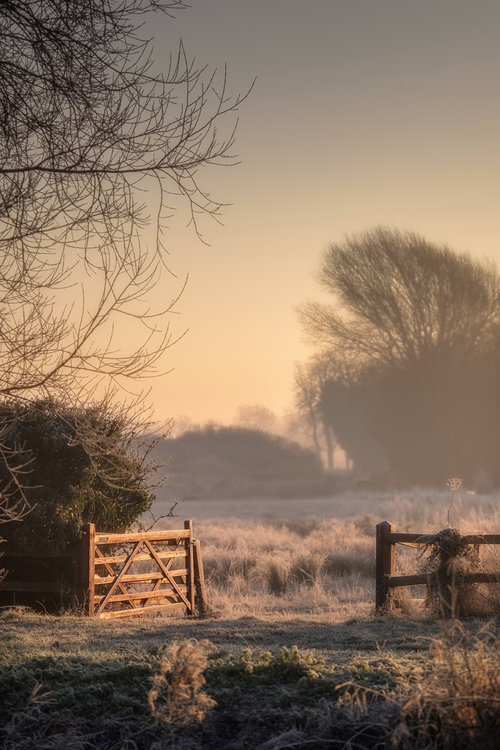 There’s Peace and Holy Quiet There by Martin Bond