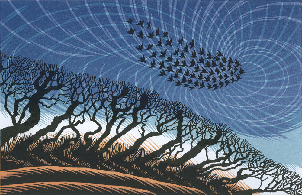 Late Starlings ed24 by Niki Bowers