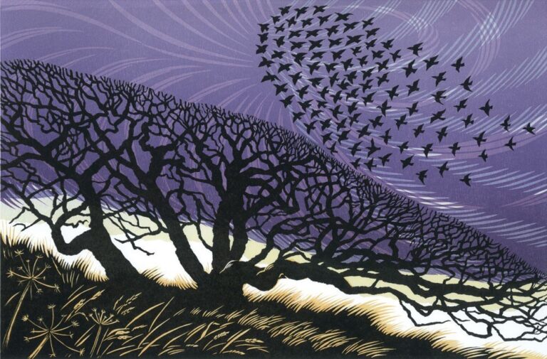 Storm Light by Niki Bowers