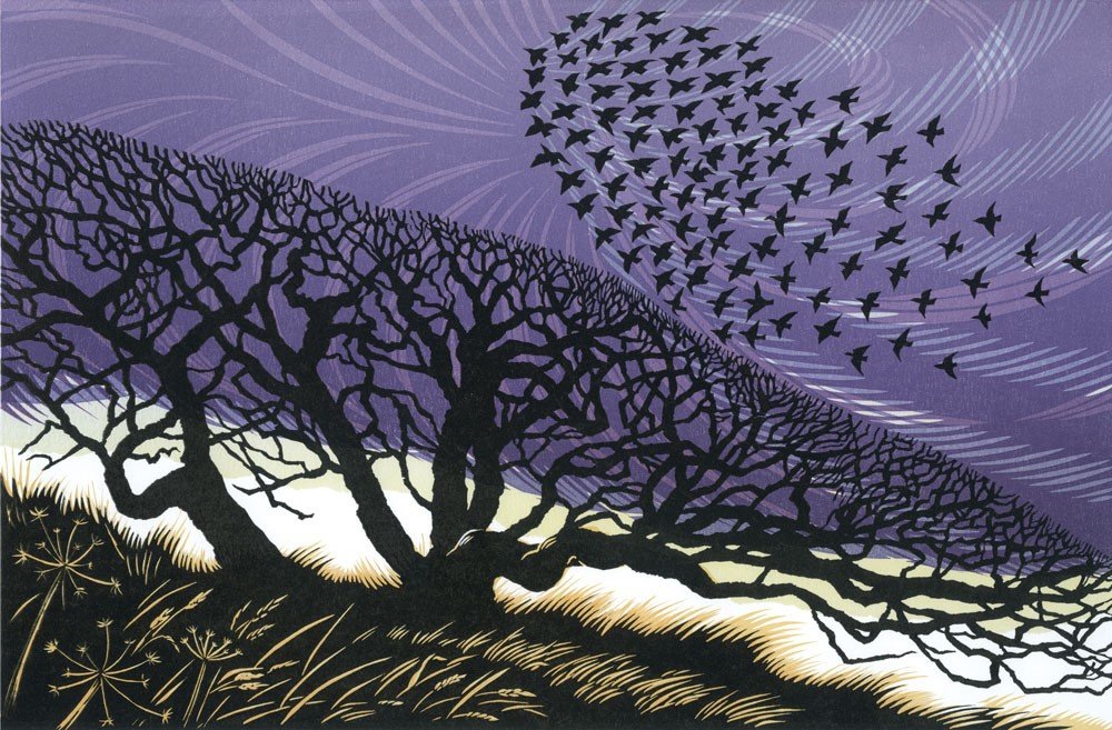 Storm Light by Niki Bowers