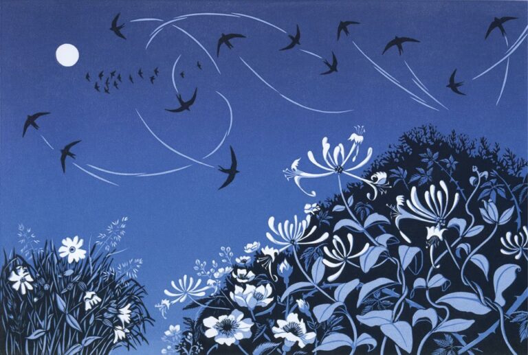 Night Swifts (NEW!) by Niki Bowers