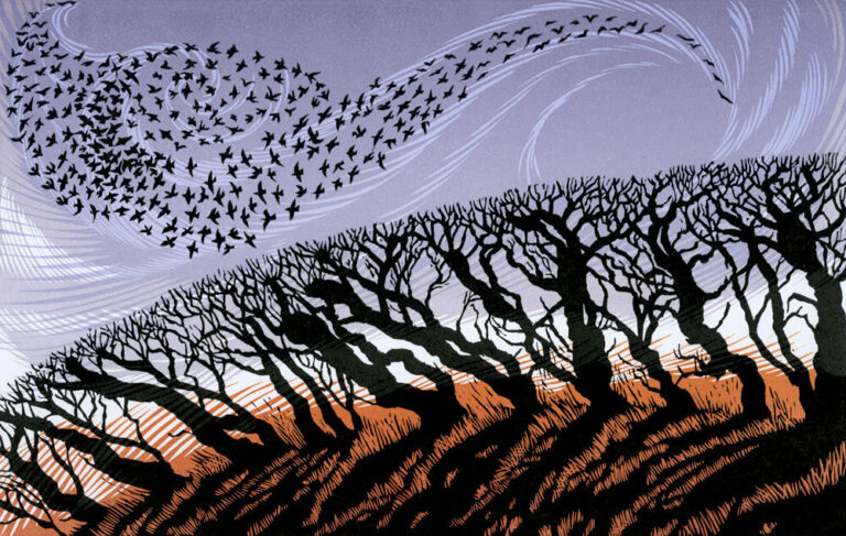 November Starlings II by Niki Bowers