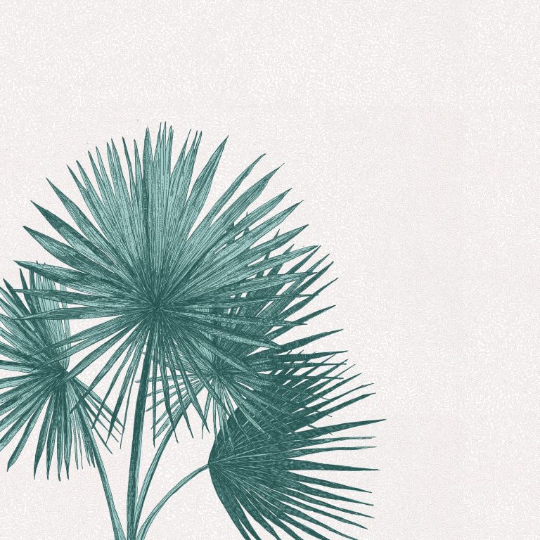 Palm Fanning by Clare Halifax