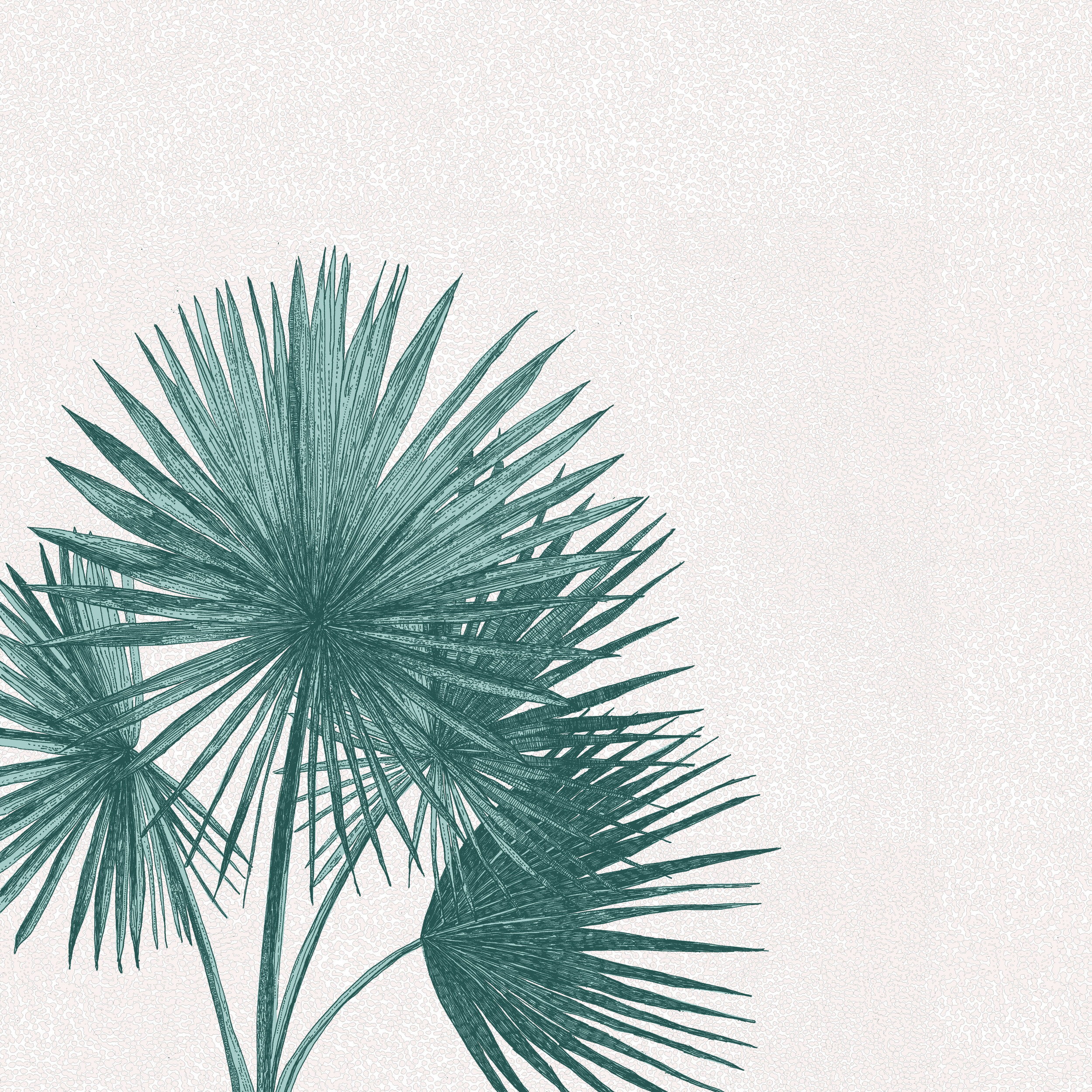 Palm Fanning by Clare Halifax