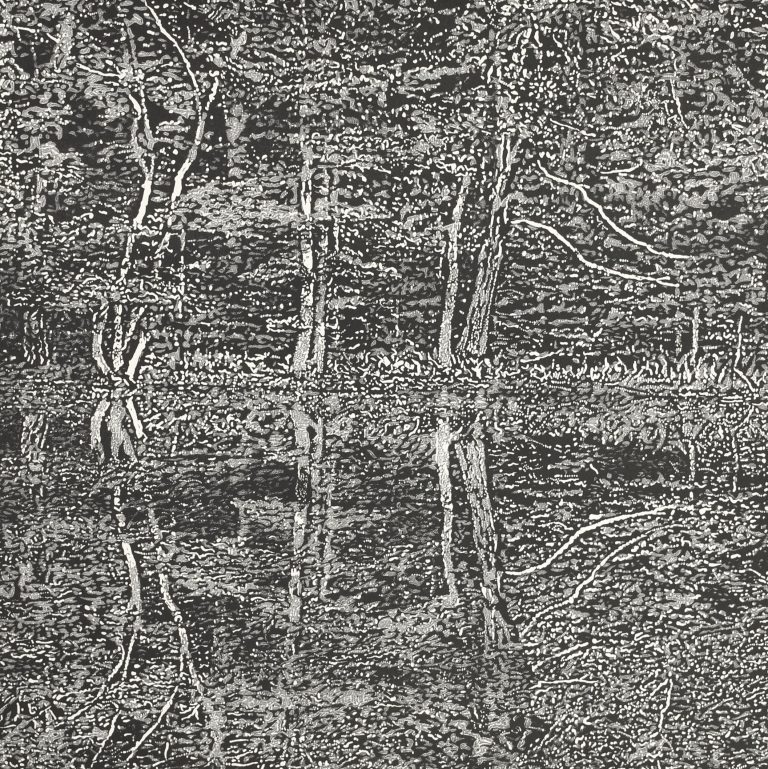 Reflections II AP by Trevor Price