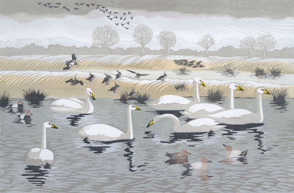 Seven Swans by Niki Bowers